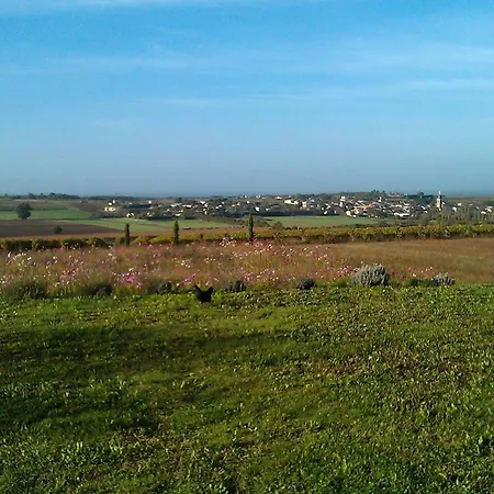 Couette-café Le Dojo Du Plessis Mareuil (Charente)